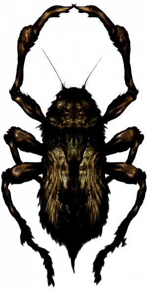 4 Creeperpng — Silent Hill Creatures option 32