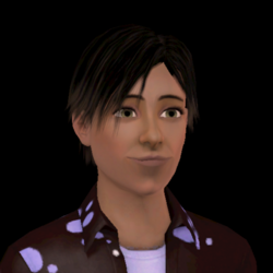 Acewildepng — Sims 3 Townies Ranked option 1