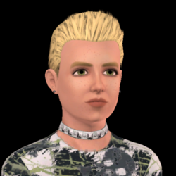 Bronsonlittlerpng — Sims 3 Townies Ranked option 10