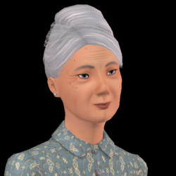 Hyacinthatkinspng — Sims 3 Townies Ranked option 22