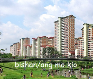 Bishanjpg — Singapore Regions option 3