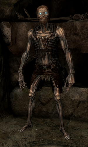 Draugrpng — Skyrim Enemies option 7