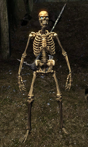 Skeletonpng — Skyrim Enemies option 19