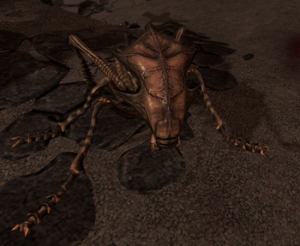 Zz1583497962ashhopperpng — Skyrim Enemies option 27