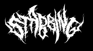 002519566910jpg — Slam / Brutal Death Bands option 2
