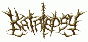 A 2072203 1423258619 3267jpegjpg — Slam / Brutal Death Bands option 18