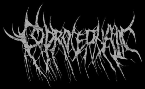 A 3206497 1382177237 2138jpegjpg — Slam / Brutal Death Bands option 35