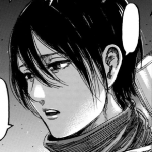 Mikasapng — SNK CHARACTER RANKING option 19