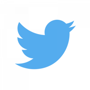 580b57fcd9996e24bc43c53epng — Social Media Platform option 8