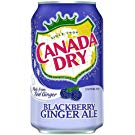 Blackberry Canada Dryjpg — Soda Tier List 2019 option 4