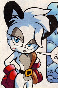 Barbykoalajpg — Sonic female Characters option 2