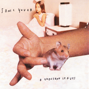 Sonathjpg — Sonic Youth's Albums (includes Whitey and the debut EP) option 1