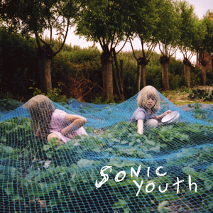 Sonmurjpg — Sonic Youth's Albums (includes Whitey and the debut EP) option 10