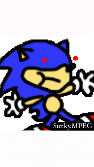 Sunky.mpeg, Sanic Hegehog Wiki