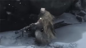 Shirafuji1jpg — SoulsBorne Bosses + Sekiro option 163