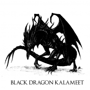 Darksoulsblackdragonkalameetbyskinrarbdb8cxh1 Fullviewjpg — SoulsBorne Bosses option 27