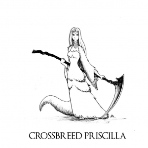 Darksoulspriscillabyskinrarbdb8cti8 Fullviewjpg — SoulsBorne Bosses option 108
