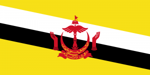 1920px Flagofbruneisvgpng — South & Southeast Asian Countries option 4