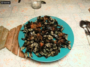 2020 12 16 174645 Windowpng — Spanish food option 43