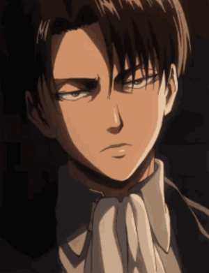 Ecce2d9cc6ba669428c88049ea7919fe1c696ae0r1 720 939v2uhqjpgpng — Spoiler Free Attack on Titan Season 1-3 Character Tier List option 32