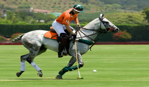 Polopng — Sports option 57