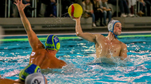 Water Polojpg — Sports option 81