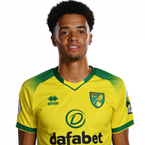 Lewispng — Spurs Transfer Targets 2020 option 13