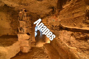 Agapjpg — Squat GRS option 2