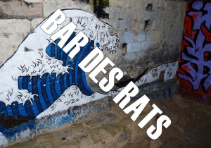 Bardesratsjpg — Squat GRS option 7
