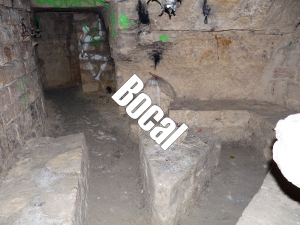 Bocaljpg — Squat GRS option 11