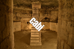 Cabijpg — Squat GRS option 14