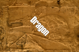 Dragonjpg — Squat GRS option 28