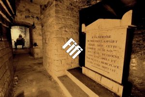 Fifijpg — Squat GRS option 33