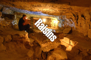 Raisinsjpg — Squat GRS option 57