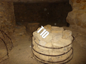 Teddysjpg — Squat GRS option 60
