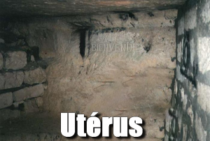Zzzzz 1693513971utrus — Squat GRS option 76