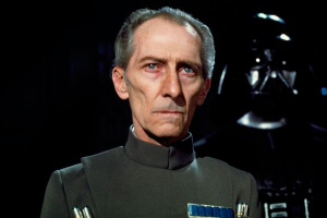 55jpeg — Star Wars Every Major Character in Canon+Legends+EU+Etc option 147