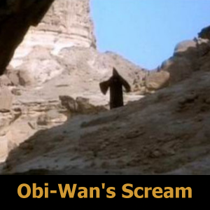 5 Obi Wans Screamjpg — Star Wars OT Special Edition Changes option 33