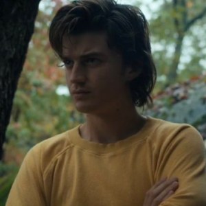 55c569f5 0d30 447b Adcc 5da2e75769e0png — steve harrington outfits (99% of them) option 10