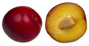 Dca92949 3238 4f8c 8175 E755b6ccb145jpeg — Stone fruit tier list option 7