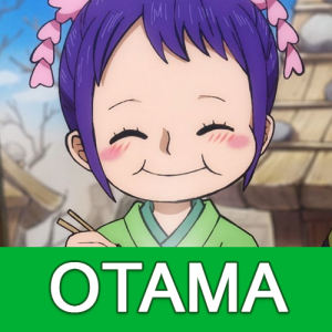 Otamapng — Straw Hats Candidates option 12