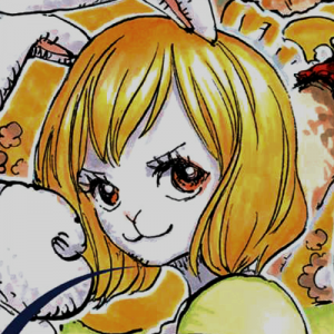 Tumblrl384184249277785png — Strawhats and candidates option 1