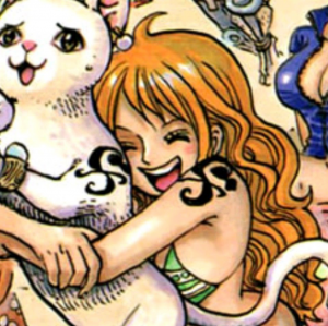 Tumblrl385029279413258jpg — Strawhats and candidates option 5