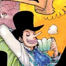 Tumblrl388409433044455jpg — Strawhats and candidates option 10