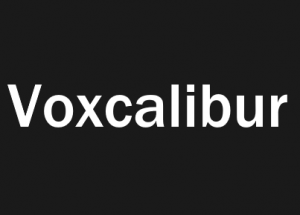 Voxcaliburpng — Super Doomspire Weapons Tier List (Fixed) option 40