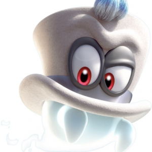 6f877218 18b5 4f4a Bcf6 2e965758eb01jpeg — Super Mario Series Companions/Partners option 12