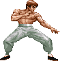 Feilong Hkgif — Super Street Fighter 2 Turbo (Character Colors) option 73