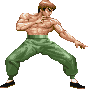 Feilong Hpgif — Super Street Fighter 2 Turbo (Character Colors) option 75