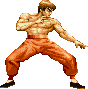 Feilong Mkgif — Super Street Fighter 2 Turbo (Character Colors) option 78