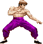 Feilong Mpgif — Super Street Fighter 2 Turbo (Character Colors) option 79